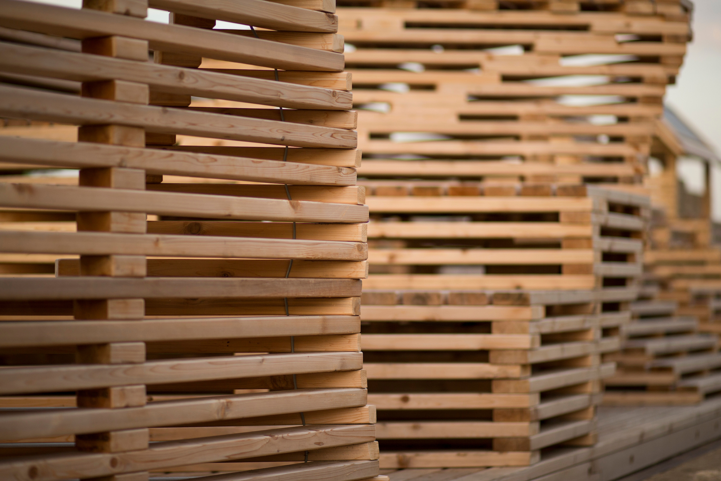 (Christopher Gannon/Iowa State University)