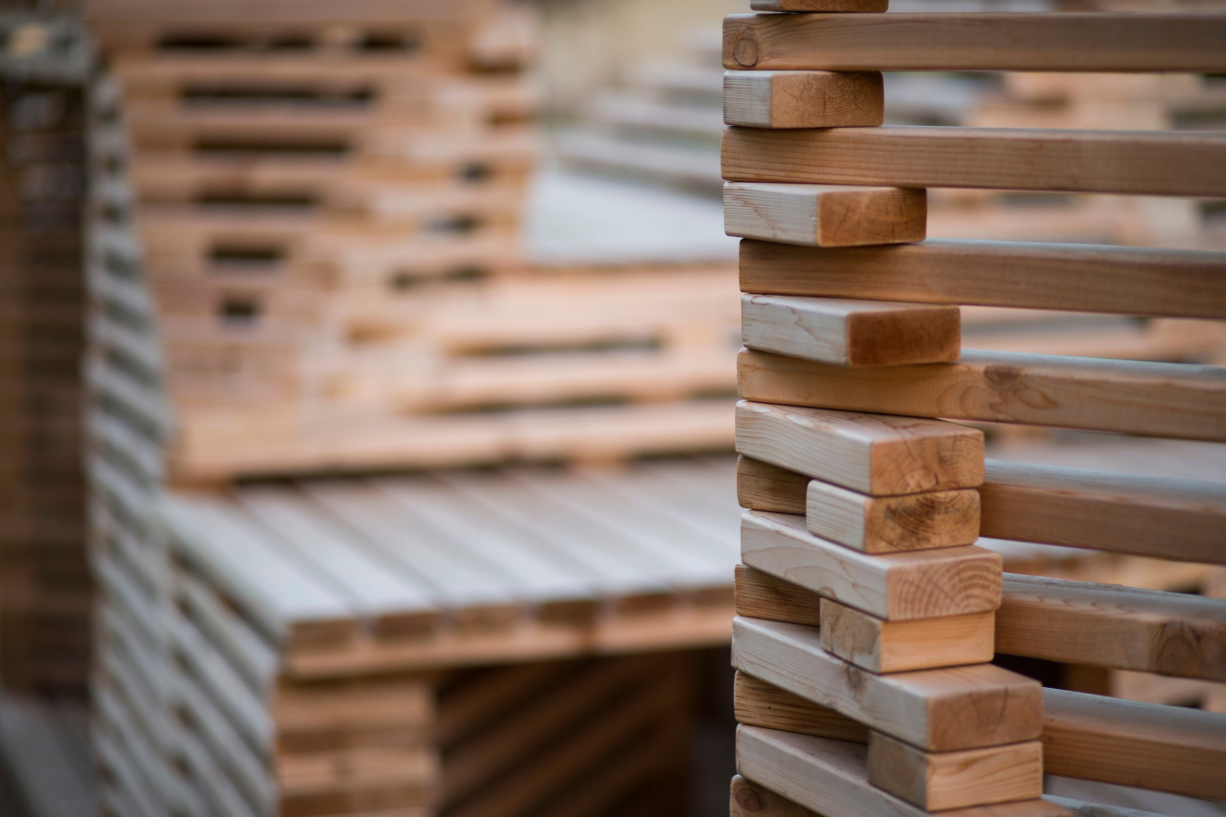 (Christopher Gannon/Iowa State University)