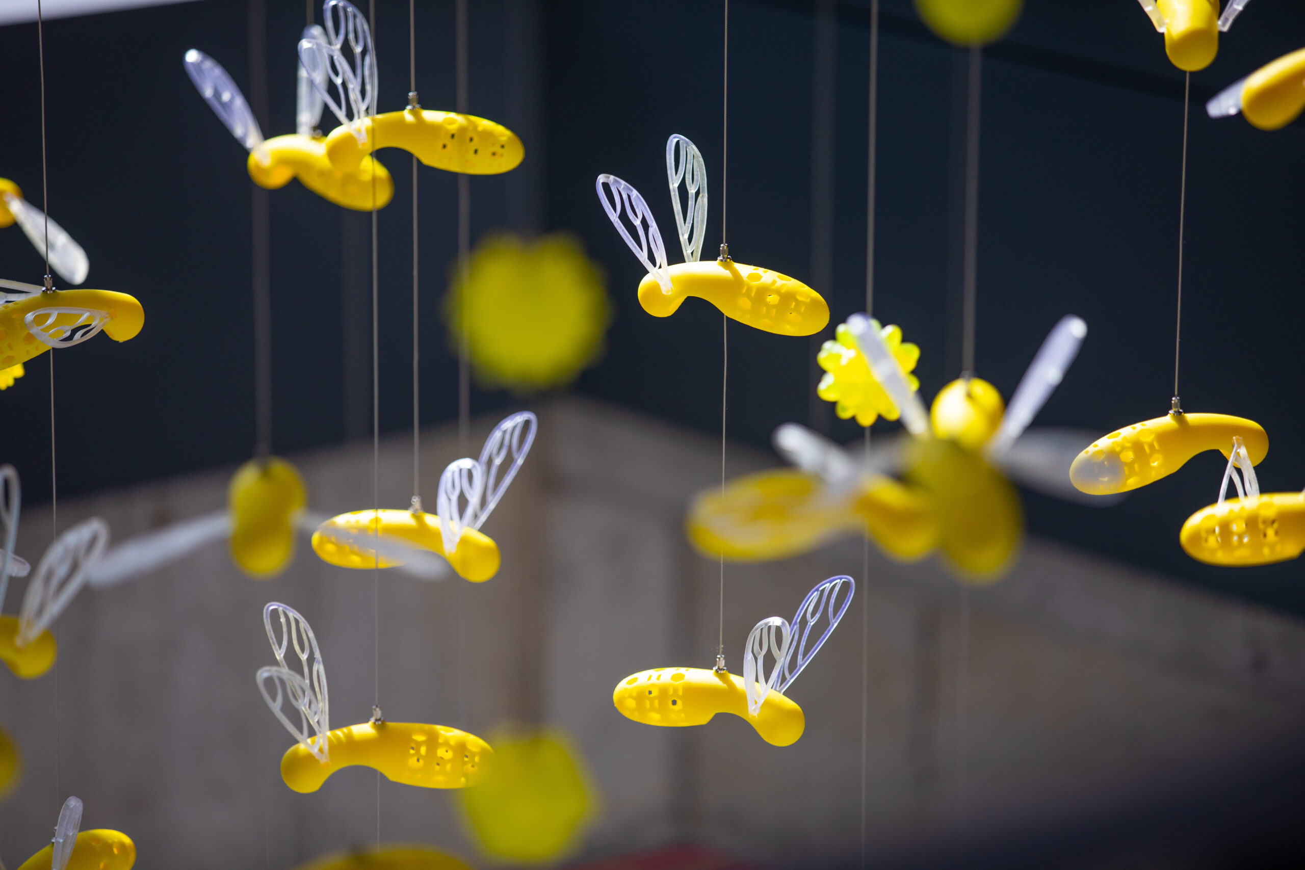 Bee art installation in the Student Innovation Center. (Christopher Gannon/Iowa State University)