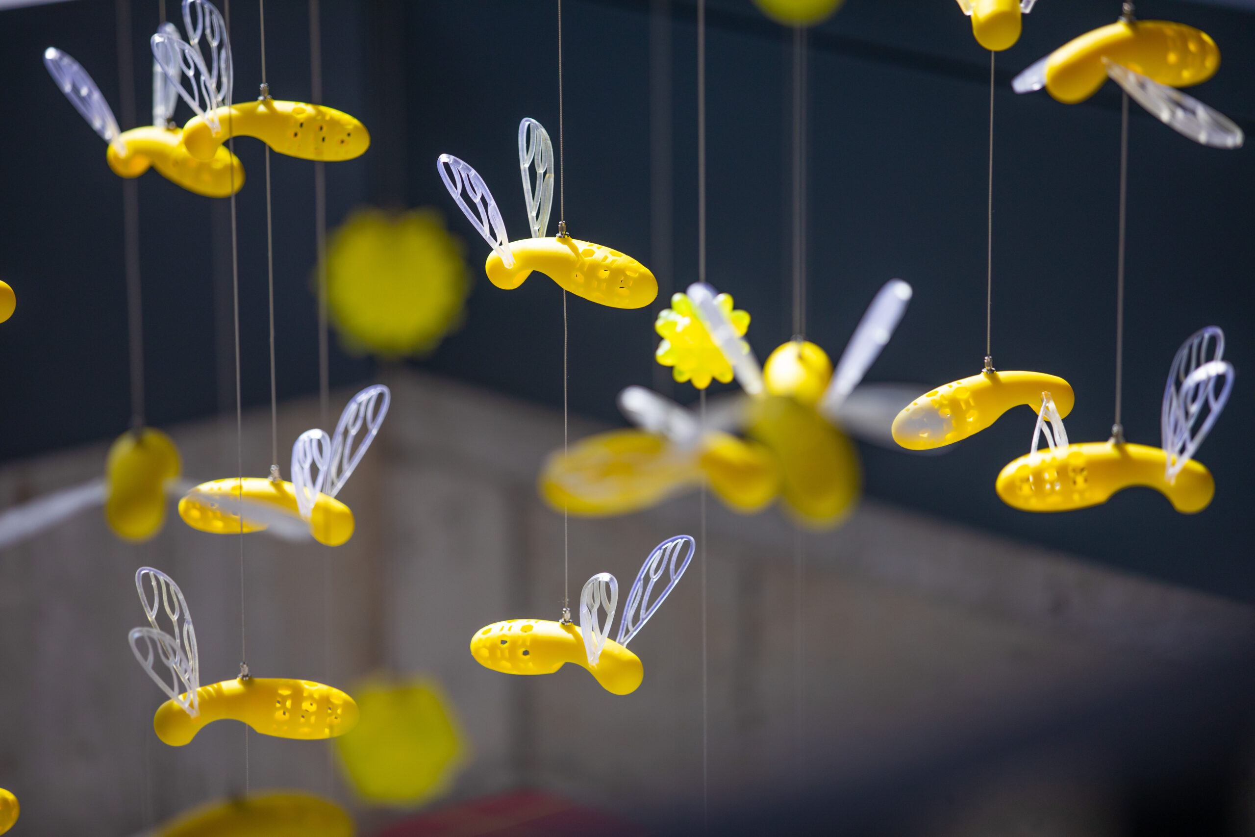 Bee art installation in the Student Innovation Center. (Christopher Gannon/Iowa State University)