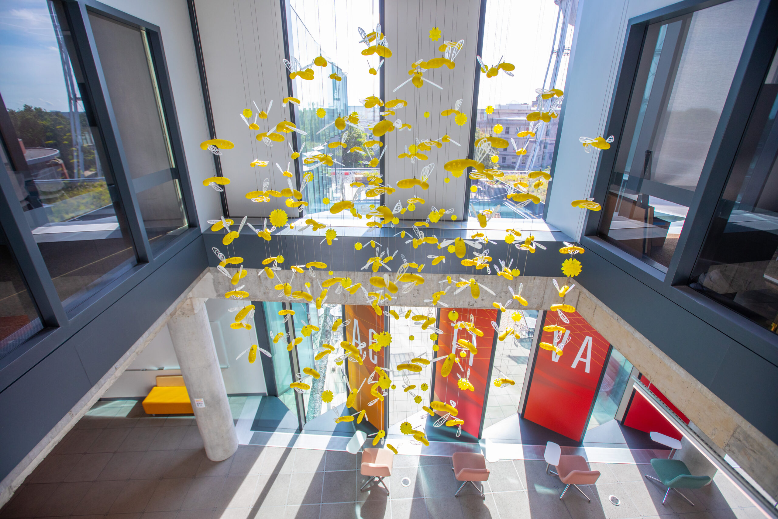Bee art installation in the Student Innovation Center. (Christopher Gannon/Iowa State University)