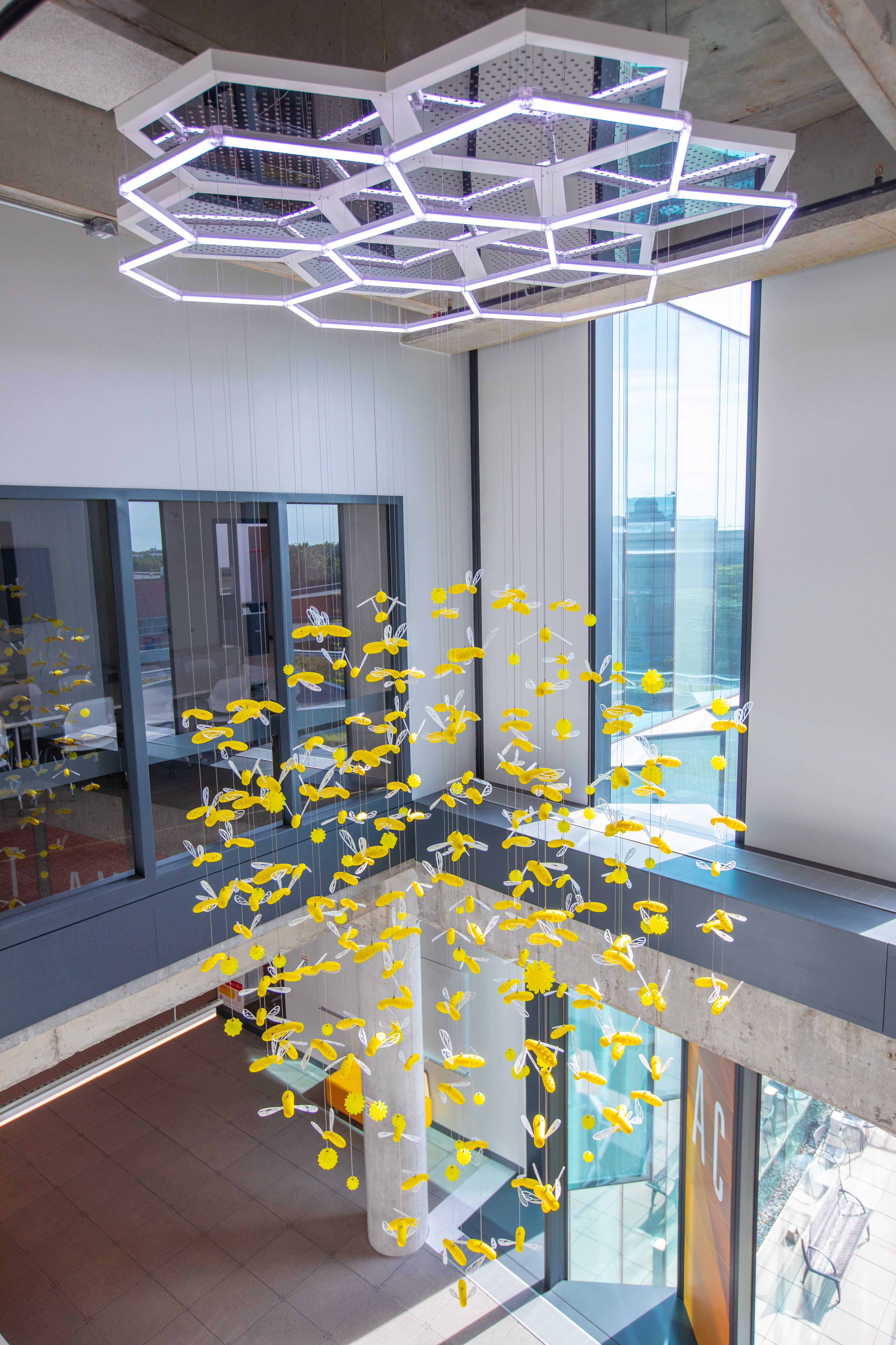 Bee art installation in the Student Innovation Center. (Christopher Gannon/Iowa State University)