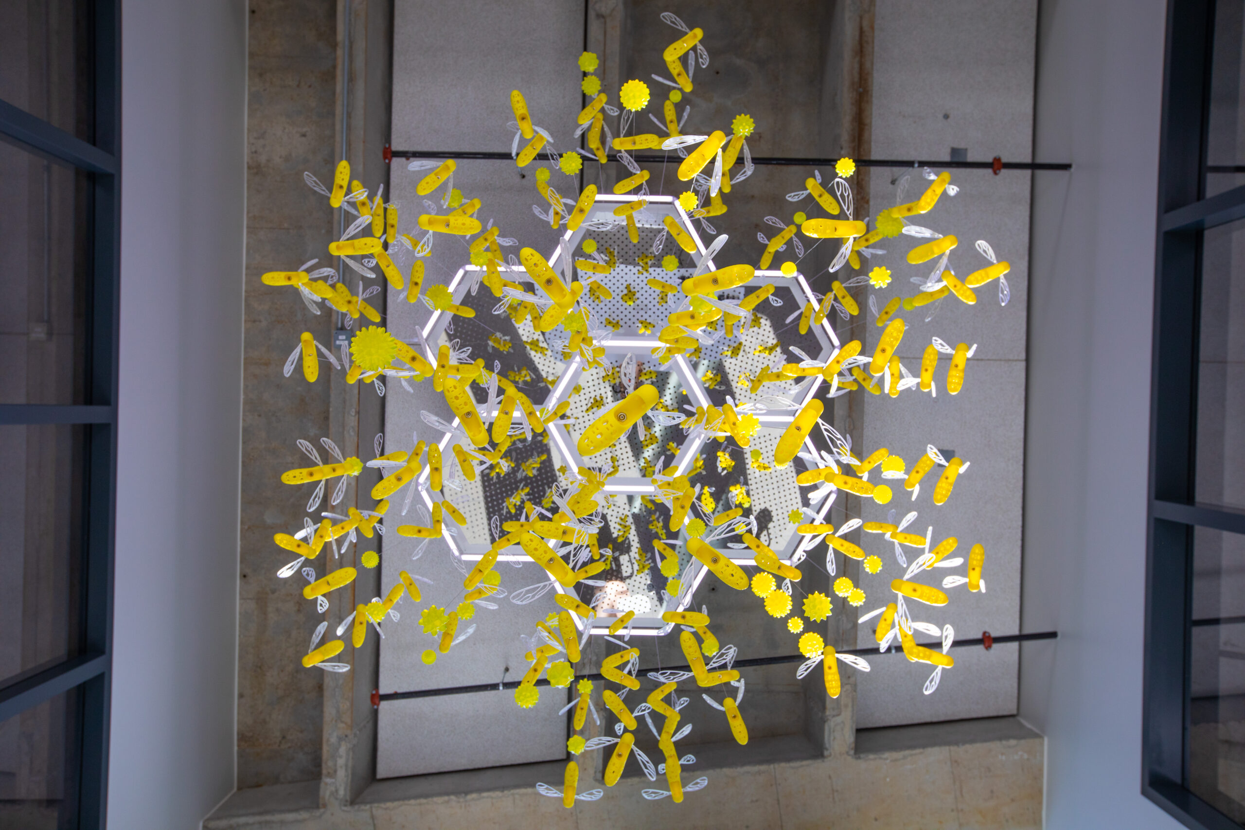 Bee art installation in the Student Innovation Center. (Christopher Gannon/Iowa State University)