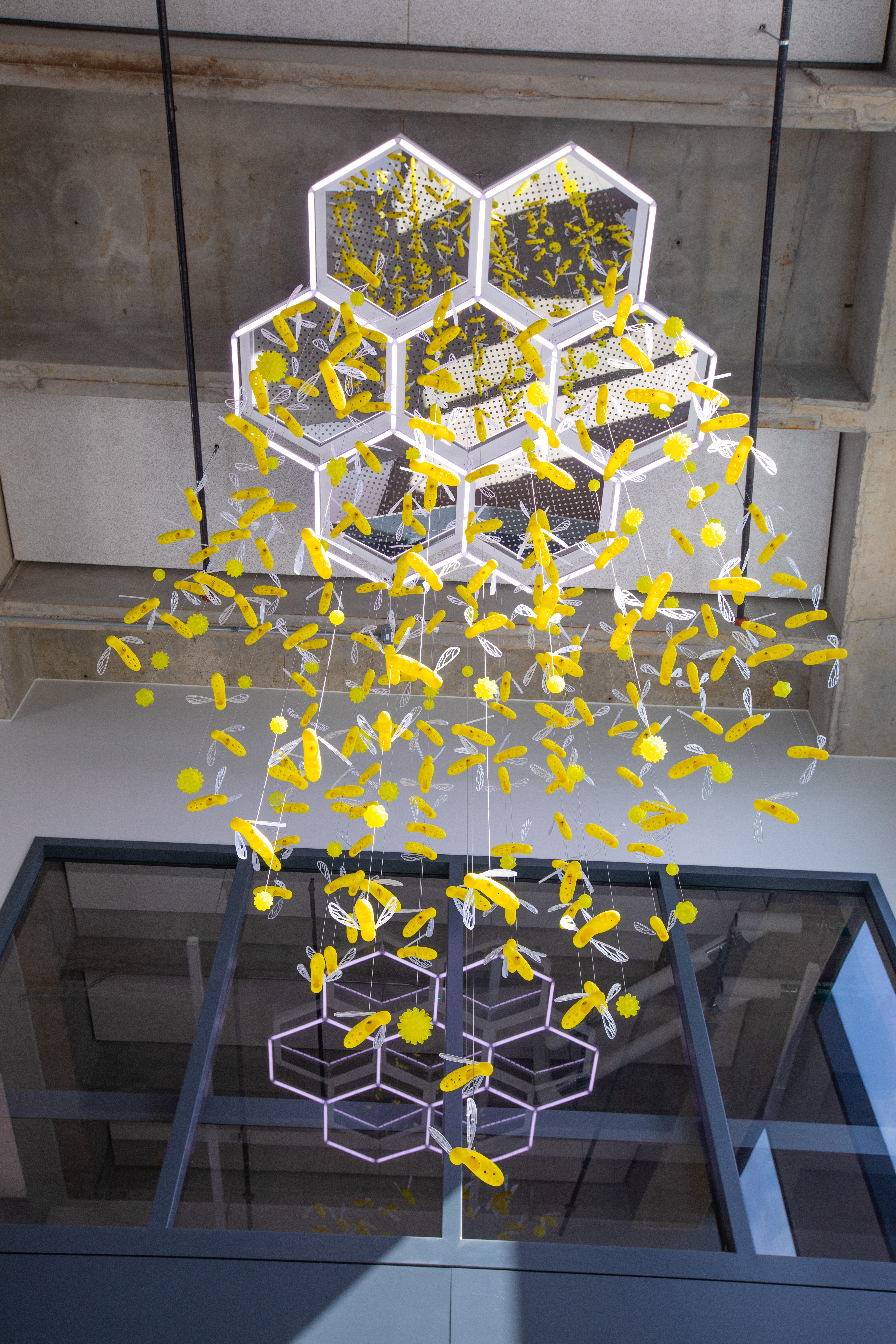 Bee art installation in the Student Innovation Center. (Christopher Gannon/Iowa State University)