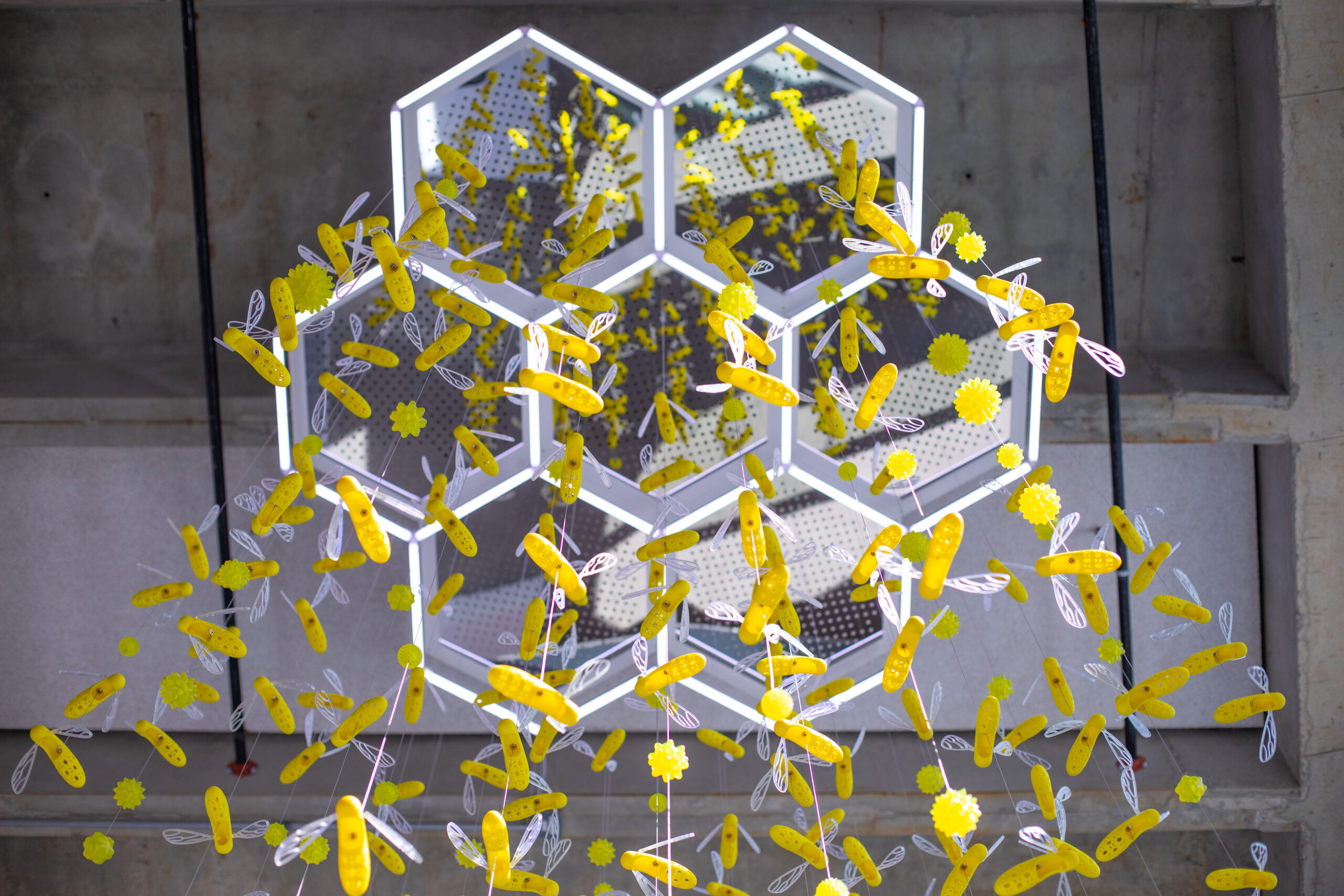 Bee art installation in the Student Innovation Center. (Christopher Gannon/Iowa State University)