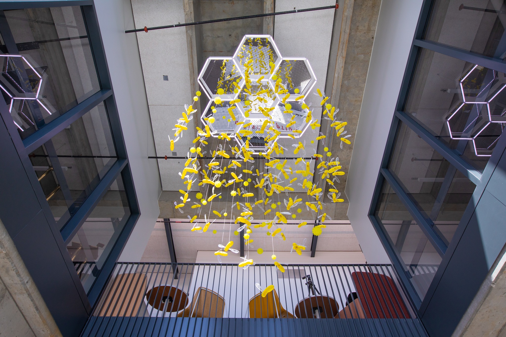 Bee art installation in the Student Innovation Center. (Christopher Gannon/Iowa State University)